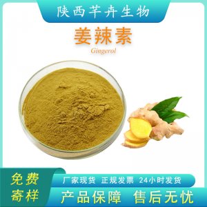 姜辣素 5%多規(guī)格 食品級(jí) 生姜提取物 姜酚 姜辣素粉原料 廠家包郵