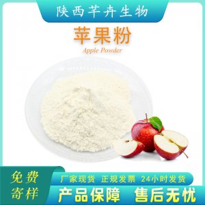 蘋果果粉99%水溶 蘋果濃縮汁粉 水果粉蘋果粉蘋果提取物 廠家現(xiàn)貨