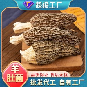 OEM定制加工羊肚菌干貨菌菇湯料包煲燉湯食材云南特產(chǎn)羊肚菌批發(fā)
