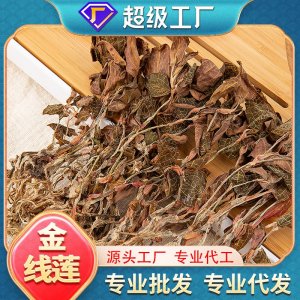 福建干貨純?nèi)~全株金線蓮批發(fā)泡水煲湯種植尖葉代發(fā)金線蓮養(yǎng)生茶