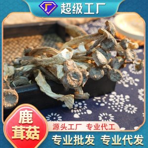 熊舅舅餐飲火鍋食材鹿茸菇菌批發(fā)干貨無熏硫煲湯袋裝現貨可代發(fā)