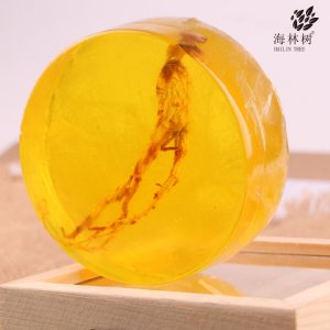 海林樹人參皂