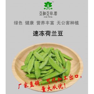 速凍荷蘭豆；出口品質(zhì)冷凍蔬菜；批發(fā)代加工(OEM)；工廠 產(chǎn)地直銷
