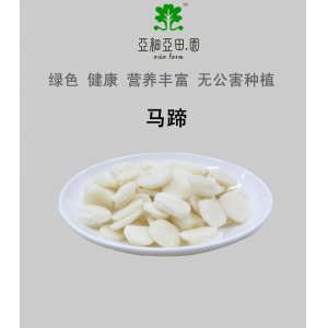 速凍馬蹄(荸薺)出口冷凍蔬菜.價(jià)格面議批發(fā)代加工OEM；工廠直銷