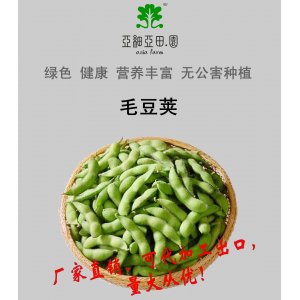 速凍毛豆臺(tái)灣枝豆;出口冷凍蔬菜;價(jià)格面議;批發(fā)加工工廠