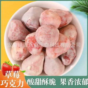 草莓巧克力 酸奶草莓 草莓片 凍干草莓涂層網(wǎng)紅零食小吃 即食小吃
