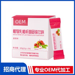 植物乳植桿菌固體飲料OEM代加工 益生菌貼牌加工源頭工廠