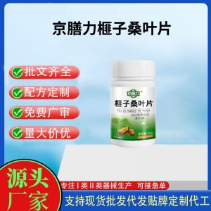 京膳力榧子桑葉片OEM代加工 運(yùn)動(dòng)營(yíng)養(yǎng)食品貼牌定制加工