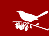 寧夏艾杞商貿(mào)有限公司